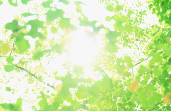 【光触媒】ウイルス・菌・有害物質の不安がない空間へ